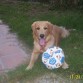 Toda una Princesa, con su pelota